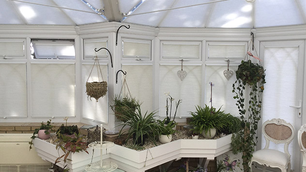 Over Hundred Blinds In a Single Conservatory